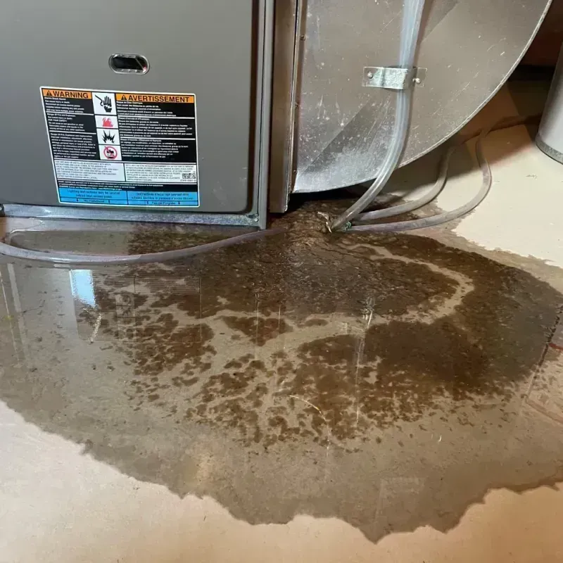 Appliance Leak Cleanup in Oak Point, TX